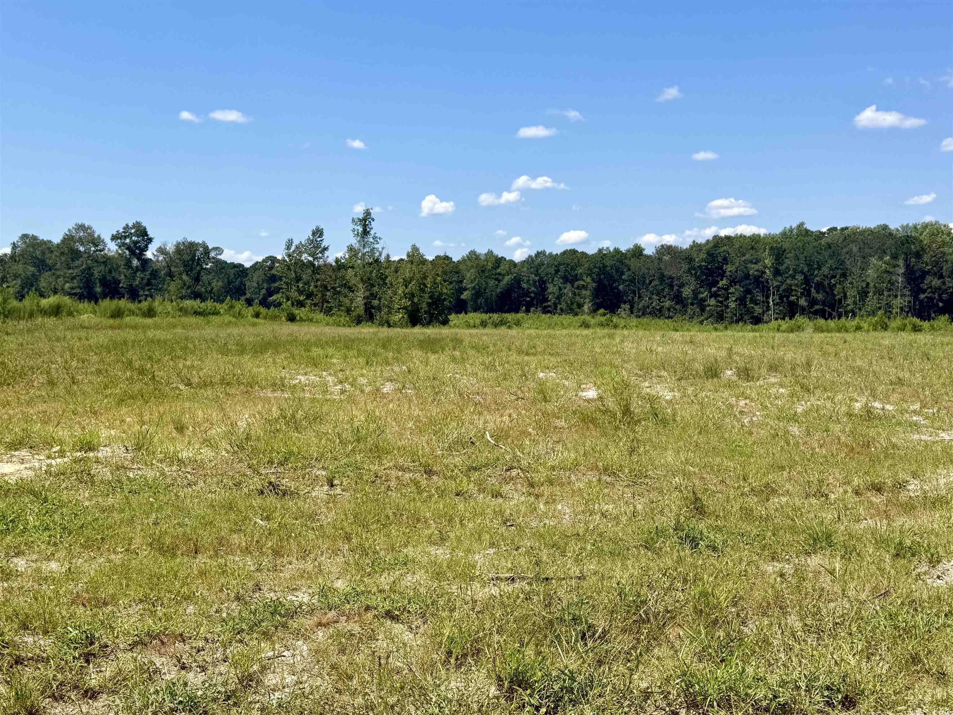 Albatross Rd Georgetown, SC 29440
