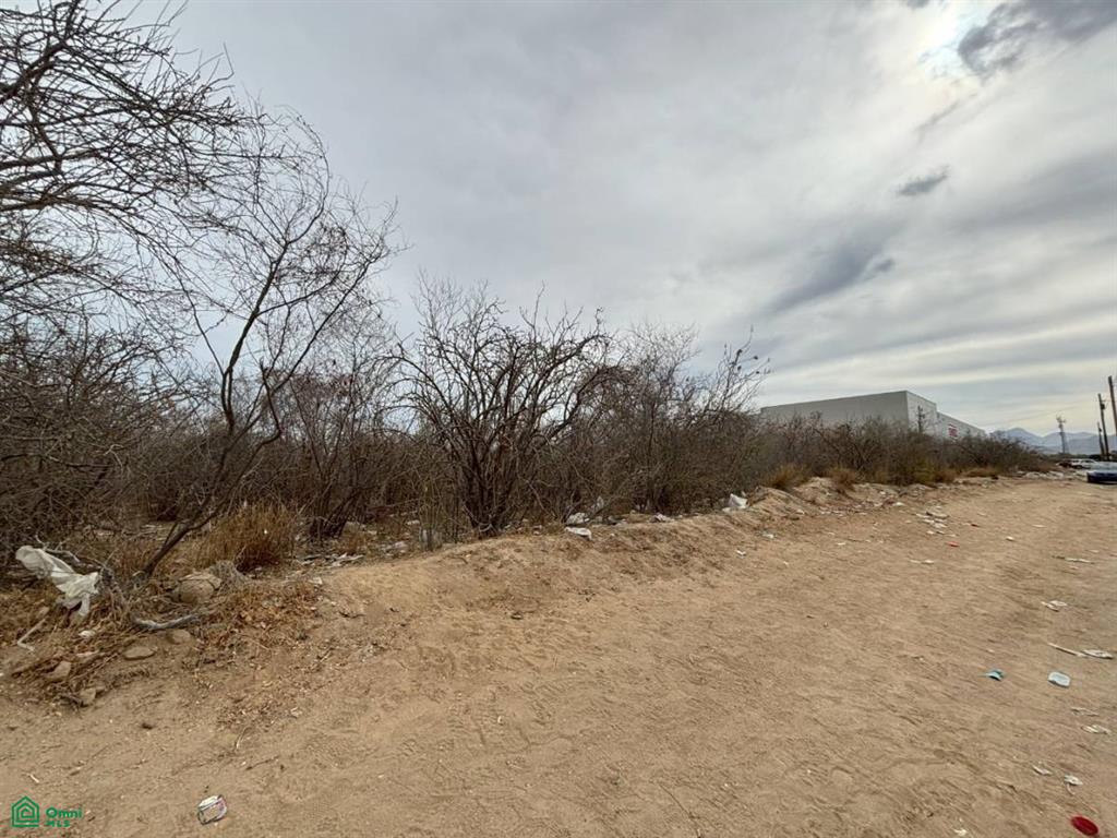 C.Playa Altata S/N, Oasis, Los Cabos, Baja California Sur