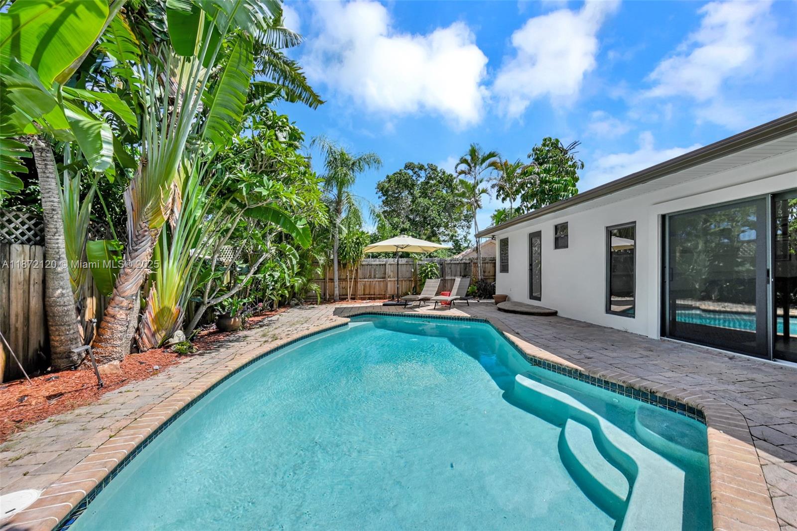 North Andrews Terrace Fir