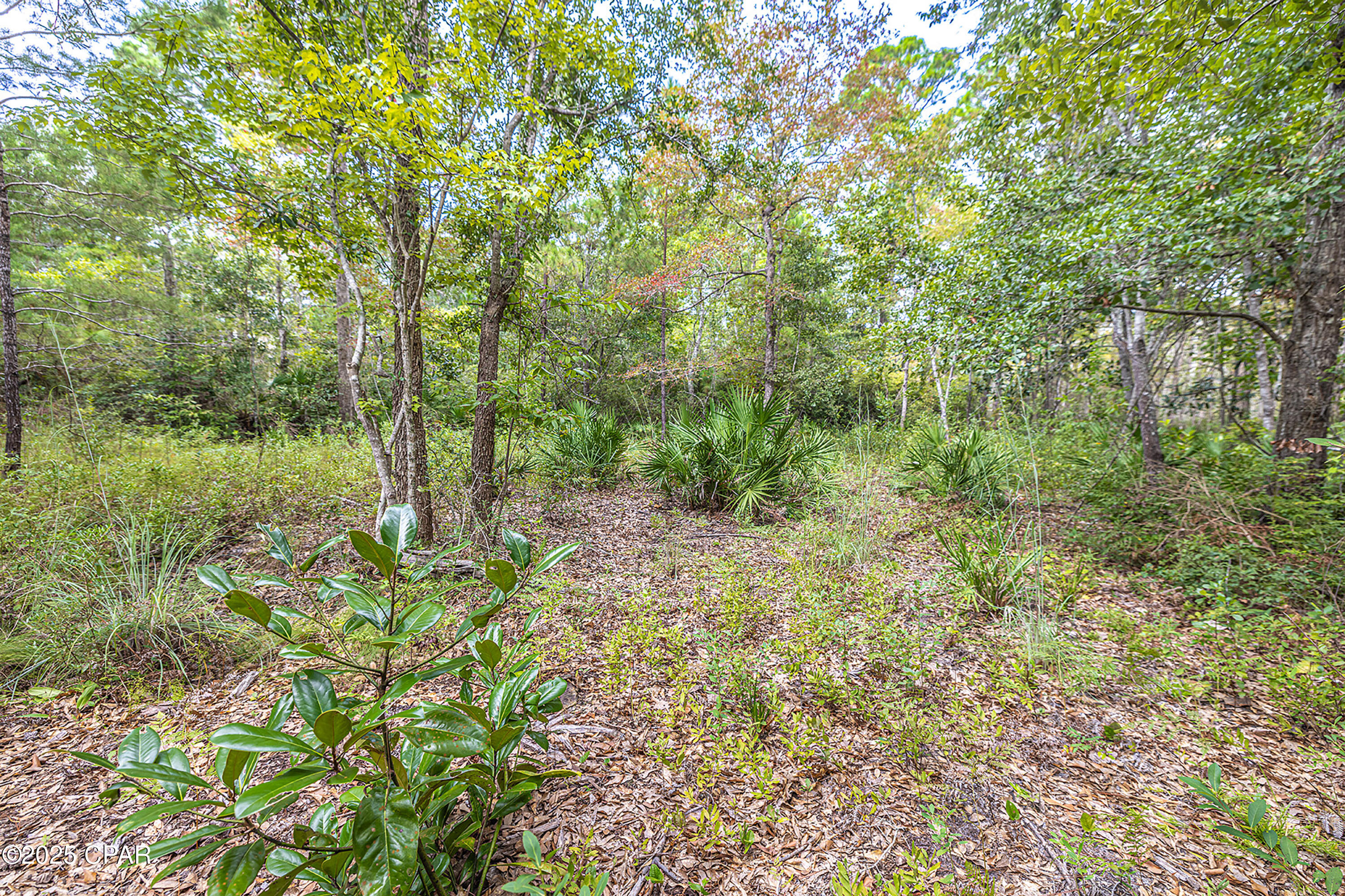 Wyohyrj Iggcvyna07vslkpkddfwxvh5veil0y N_a4