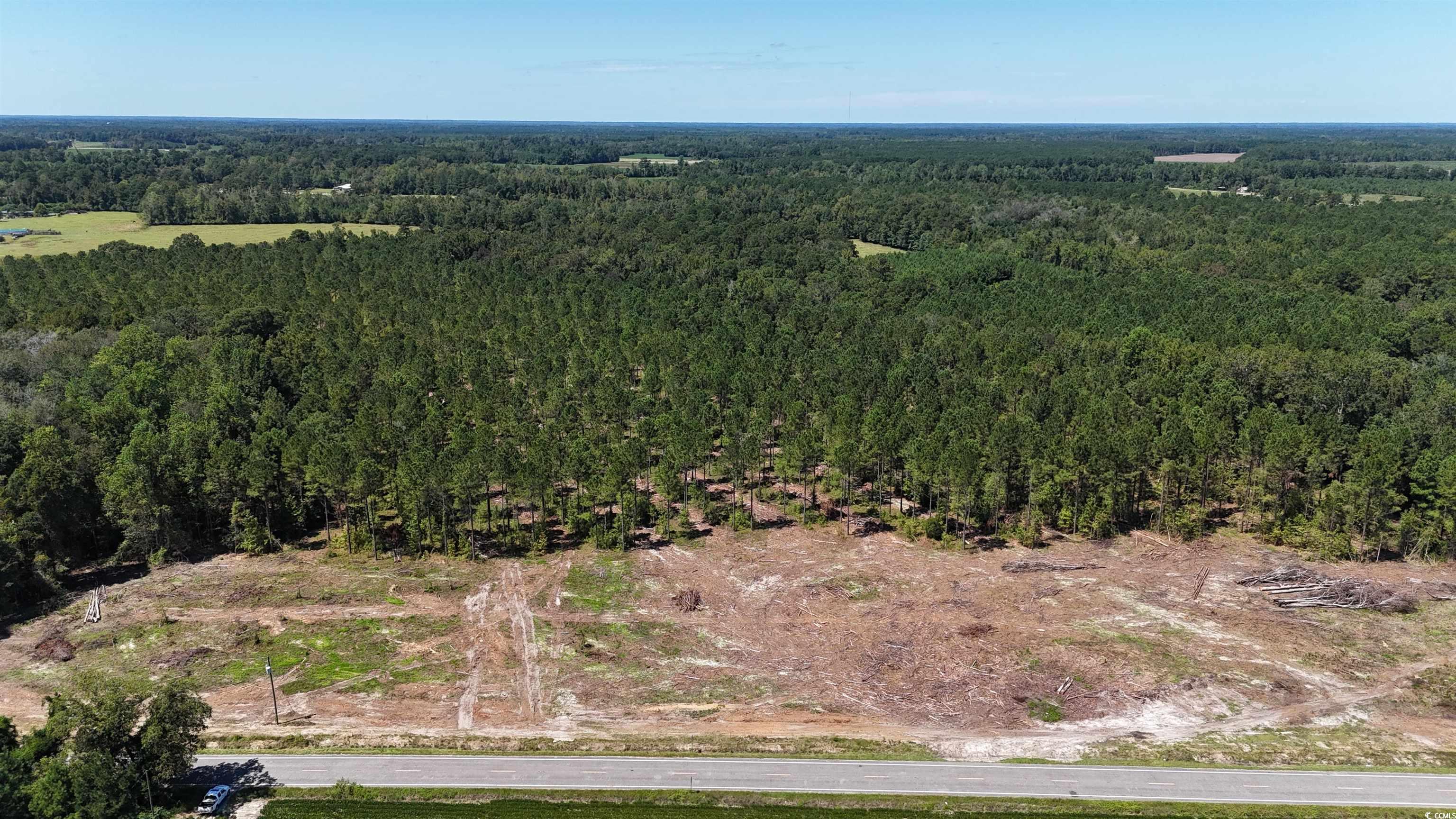 TBD Highway 19 Nichols, SC 29581