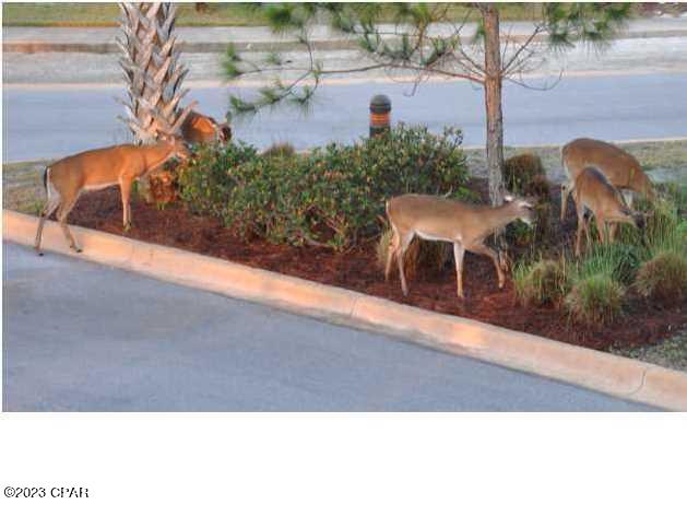 Ugw688u7yju_ms2rlkhtx4ptnpyrjefy57pukrpehwy