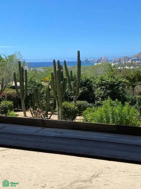 Mañana 39, El Tezal, Los Cabos, Baja California Sur