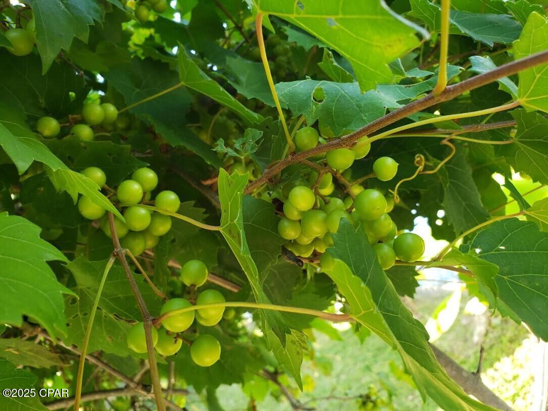 U1mdbcprlfyagjjwz5ooa9341w8qhu_rond2t1n4vfo