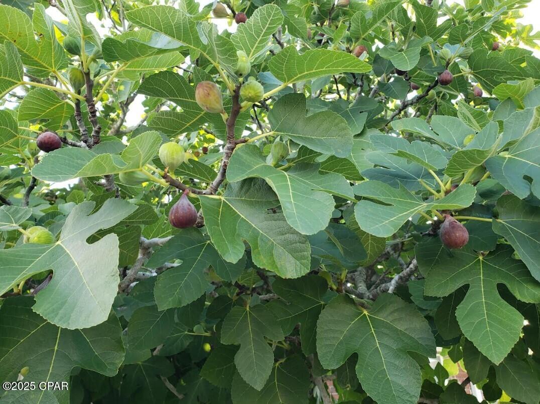 F Qwyt_3lxyx5ve1lcx9d6spypmd4z Jbvpv6sfrn7a