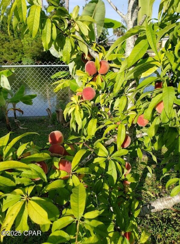 V1wjxhzh7gaajzt758ekdlhkyhk_qkyvccq17g4l4hi