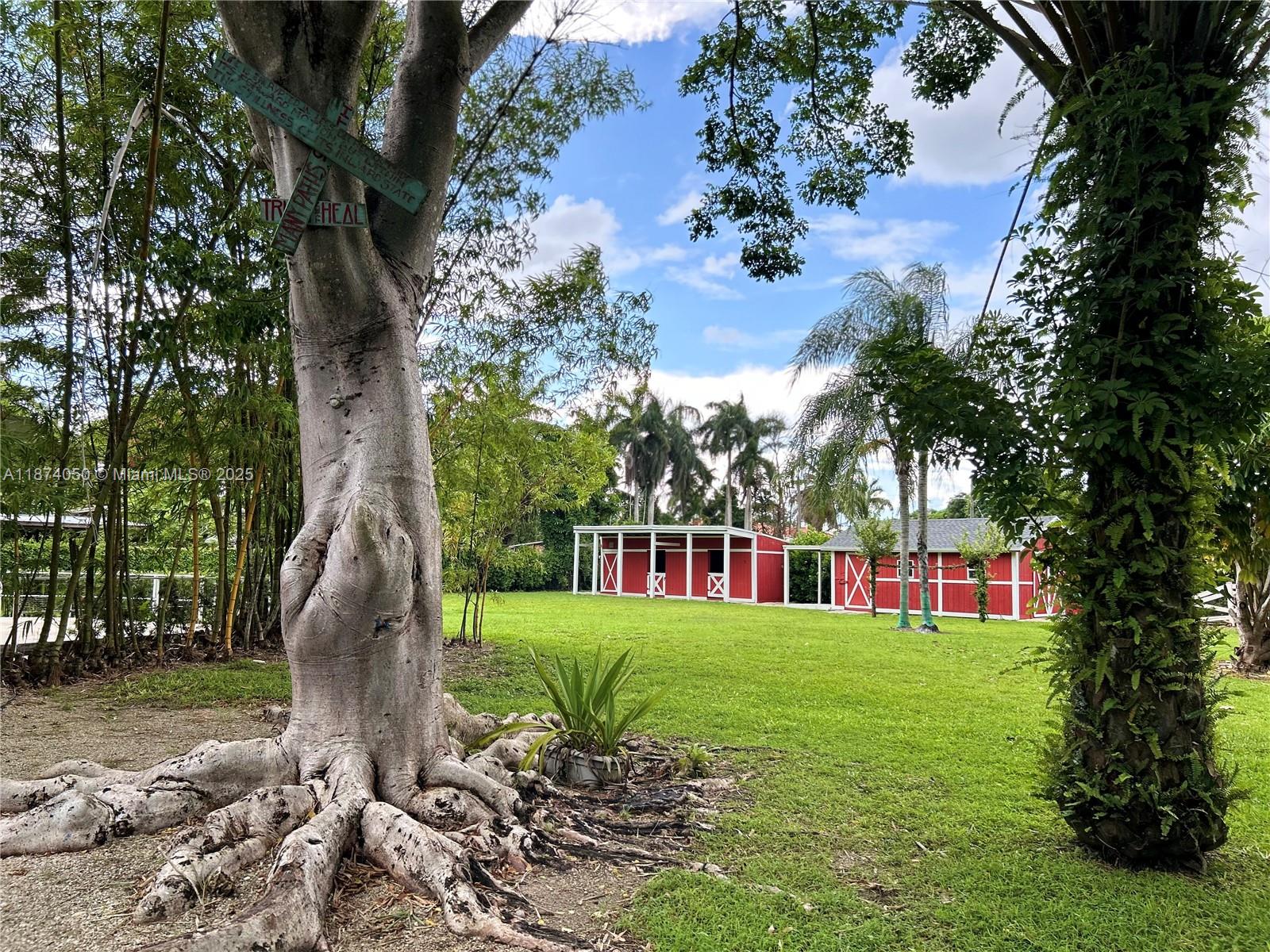 Property photo # 3