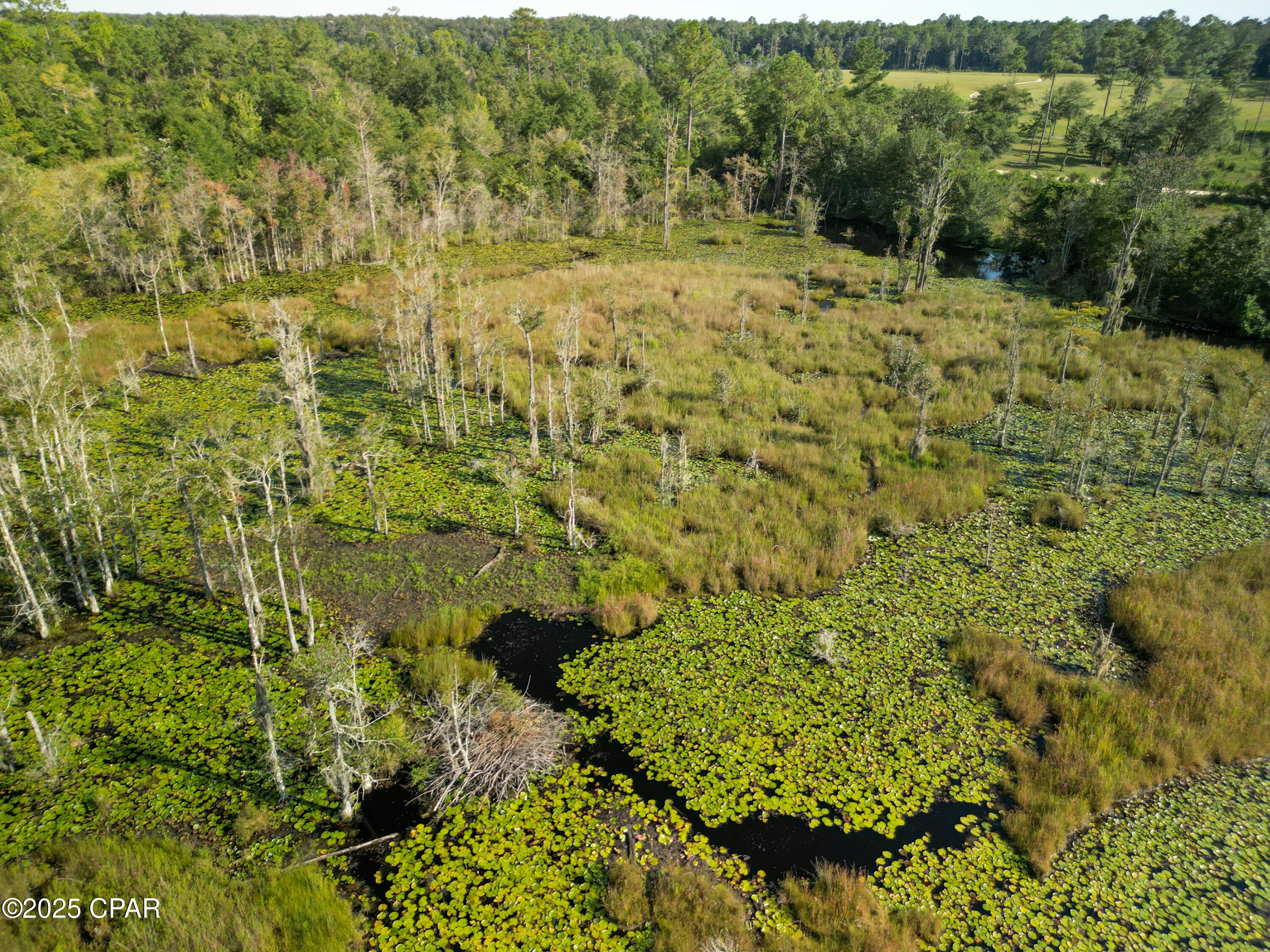 Dut5_1k8hdfps2q2abftxvtxaa Pm4zgr6z0d1vtefe