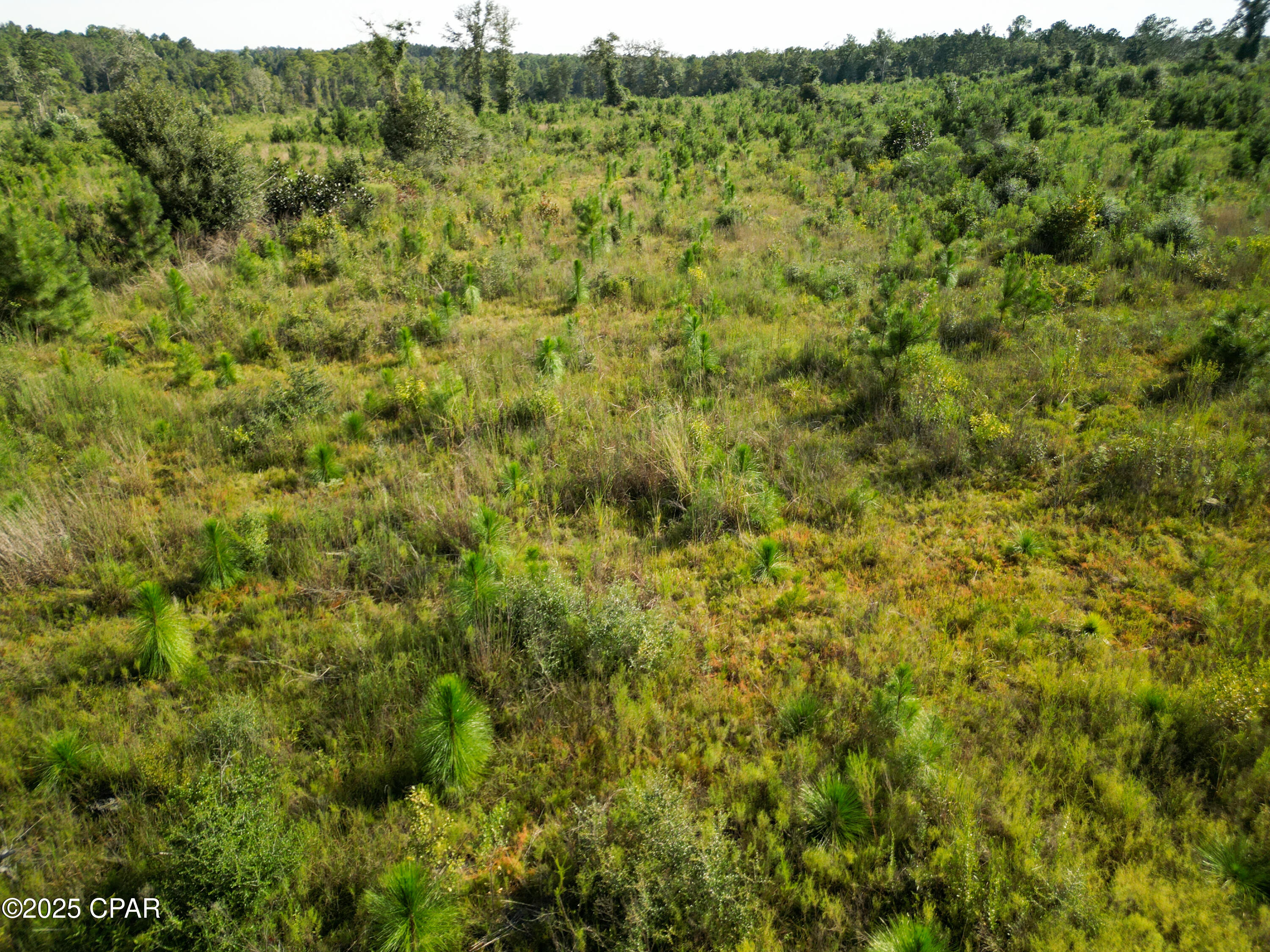 9smmxtoufac6ogelsrhgh5bby4zdyrxxtpnhtzwgc6g