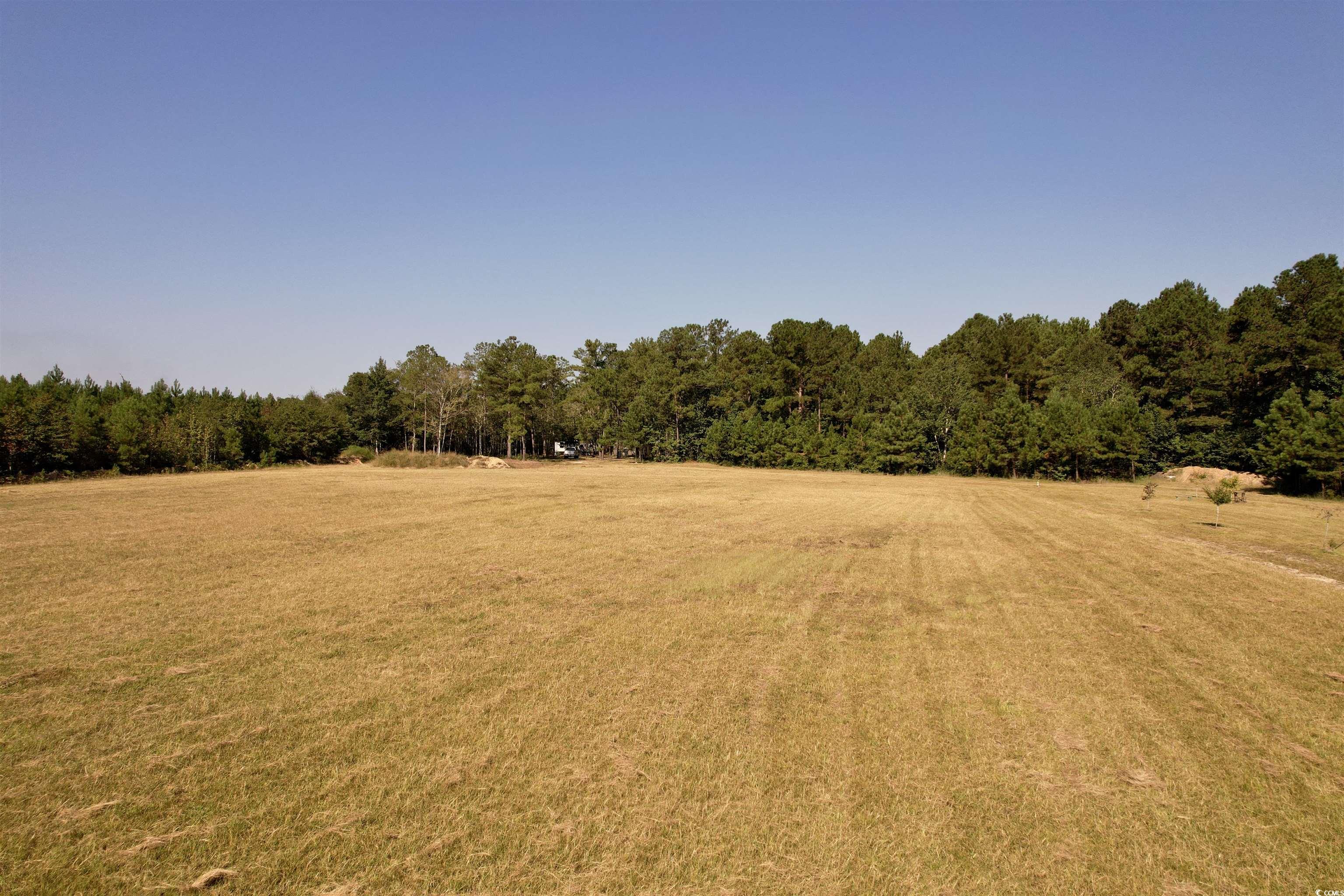 28+/- Acre Frank Cribb Rd. Georgetown, SC 29440