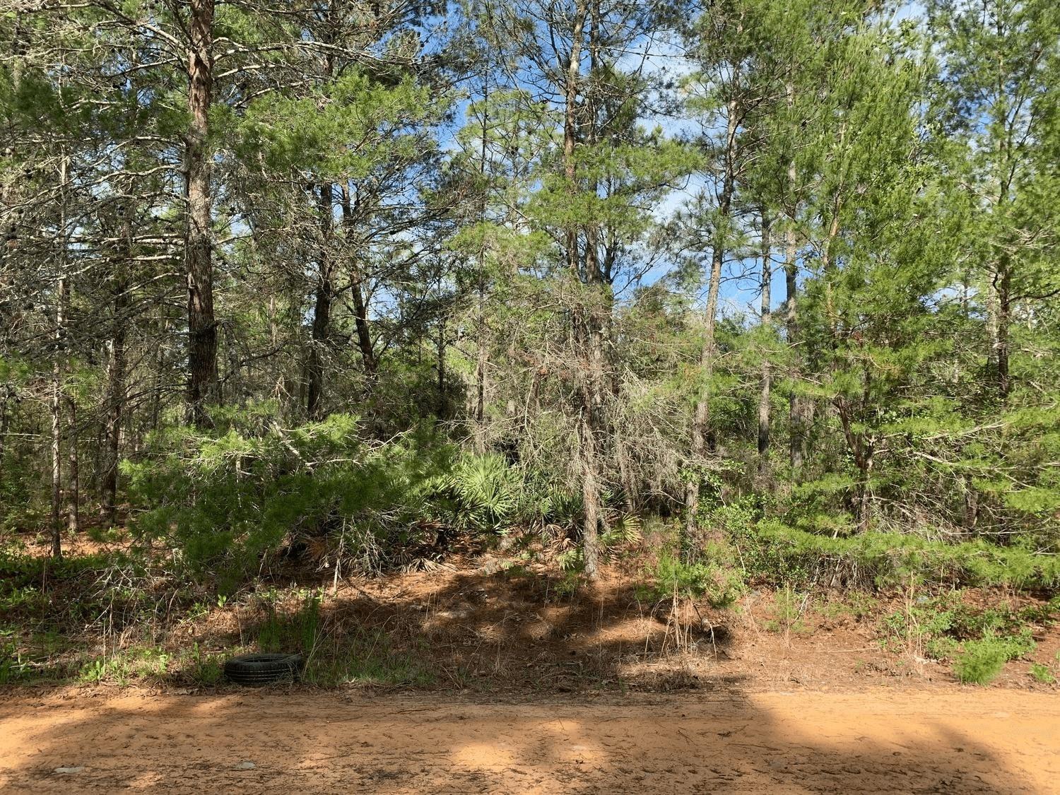 Interlachen Lakes Estates