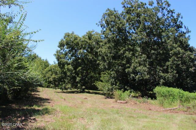 Image 43 For 1538 Highway 79