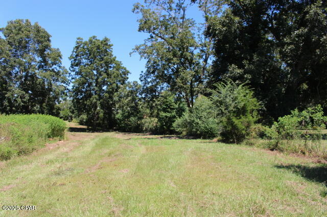 Image 44 For 1538 Highway 79