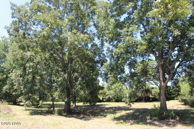 Image 45 For 1538 Highway 79