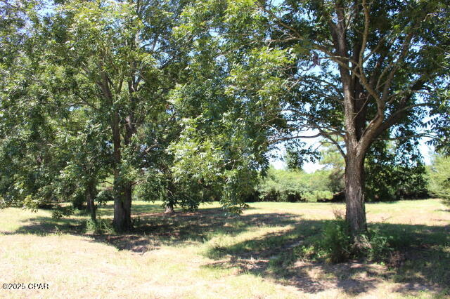 Image 46 For 1538 Highway 79