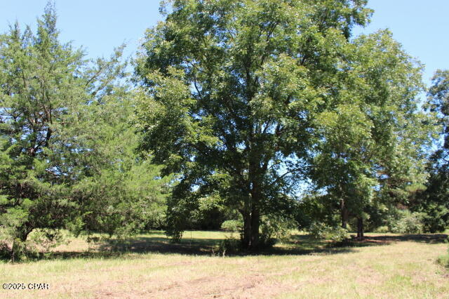 Kmc_2f Lknhaqwe2bdysissufz Pt_7x3cfxpyurek0