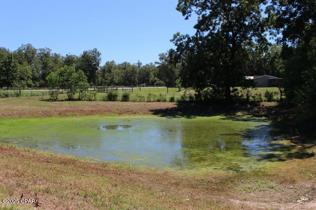 Image 69 For 1538 Highway 79