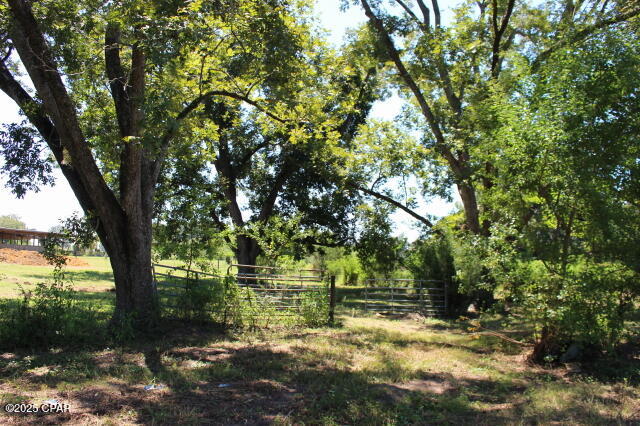 Image 74 For 1538 Highway 79