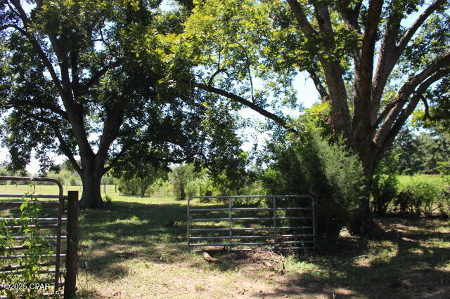 Image 75 For 1538 Highway 79