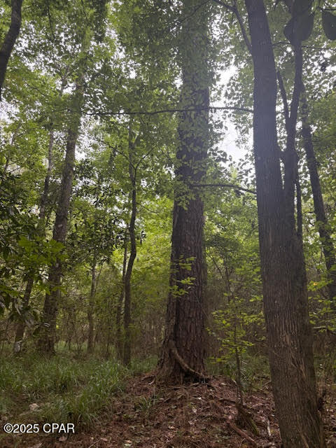 54idd6ttm9zd18v8tw2i_tsboxcz Kjwtn8njleu8ws