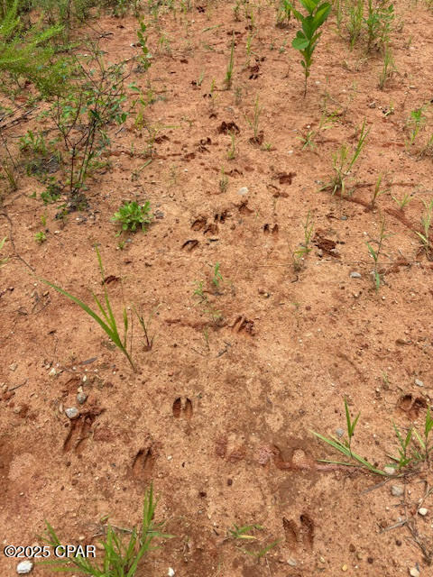 0q5jfuytvdfzp6pfsfssoimyu9 Zldsysgr75cpknri