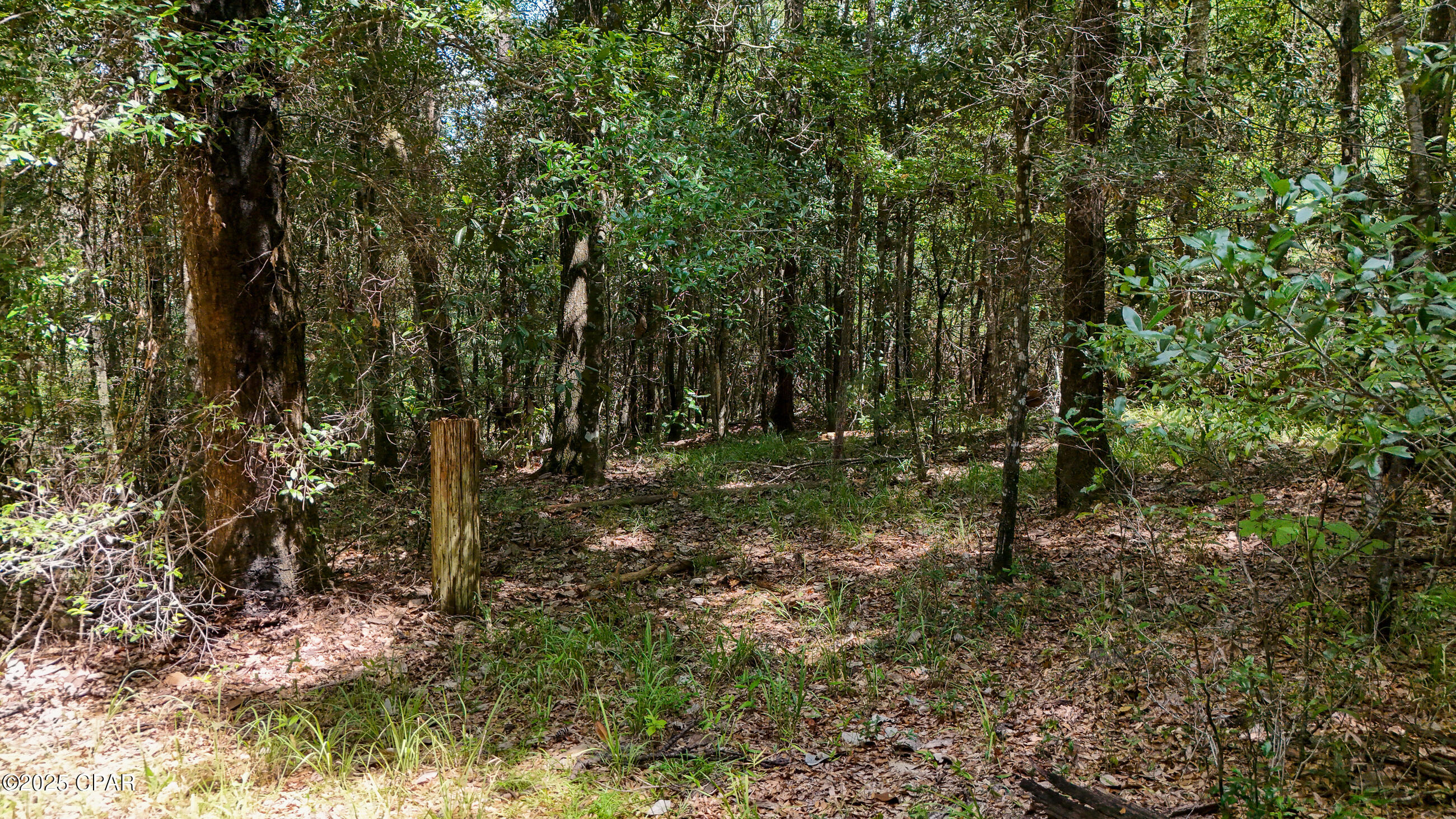 Image 38 For 1730 Firetower Road