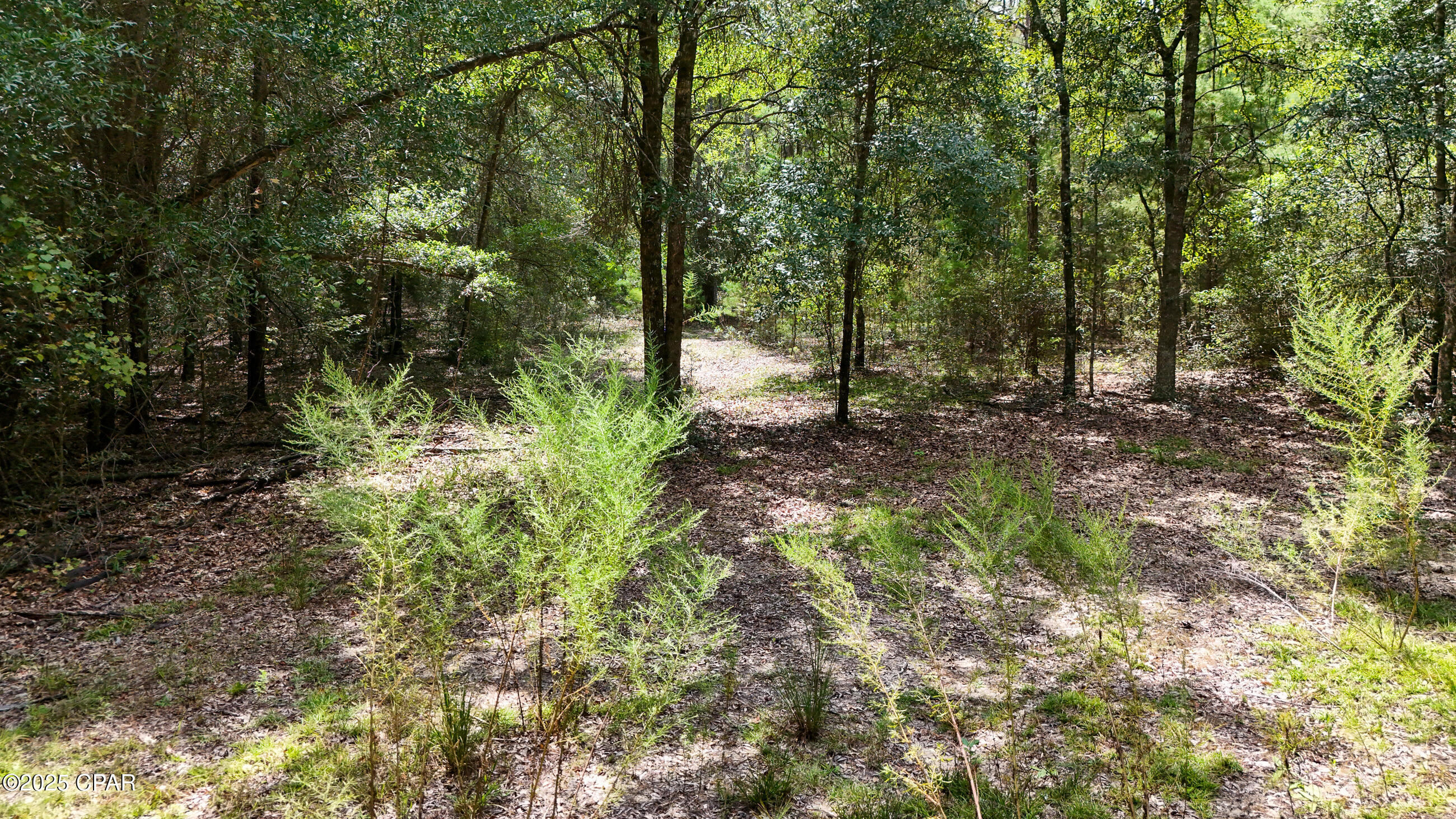 Y_7ppwsmwdhjcordvbok2rrnadxvlerusetzcou8ole