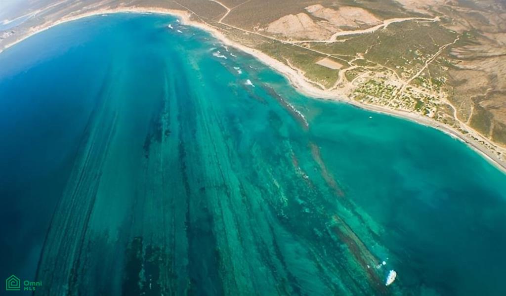 nuevo san juan SN, Cabo Pulmo, Los Cabos, Baja California Sur