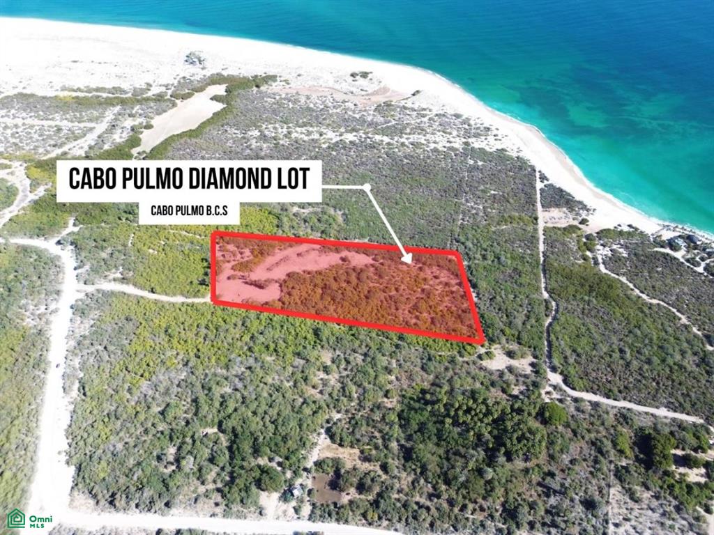 nuevo san juan SN, Cabo Pulmo, Los Cabos, Baja California Sur