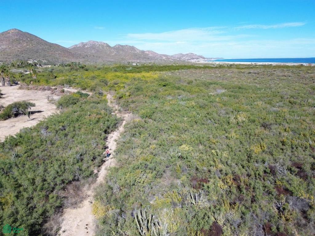 nuevo san juan SN, Cabo Pulmo, Los Cabos, Baja California Sur