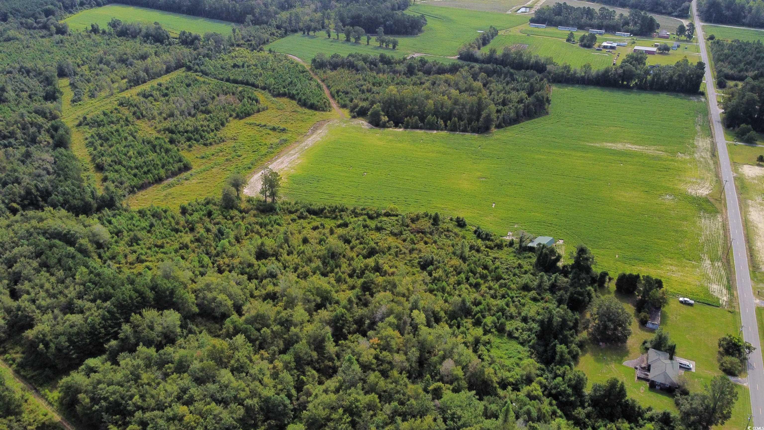 TBD Black Creek Rd. Nichols, SC 29581