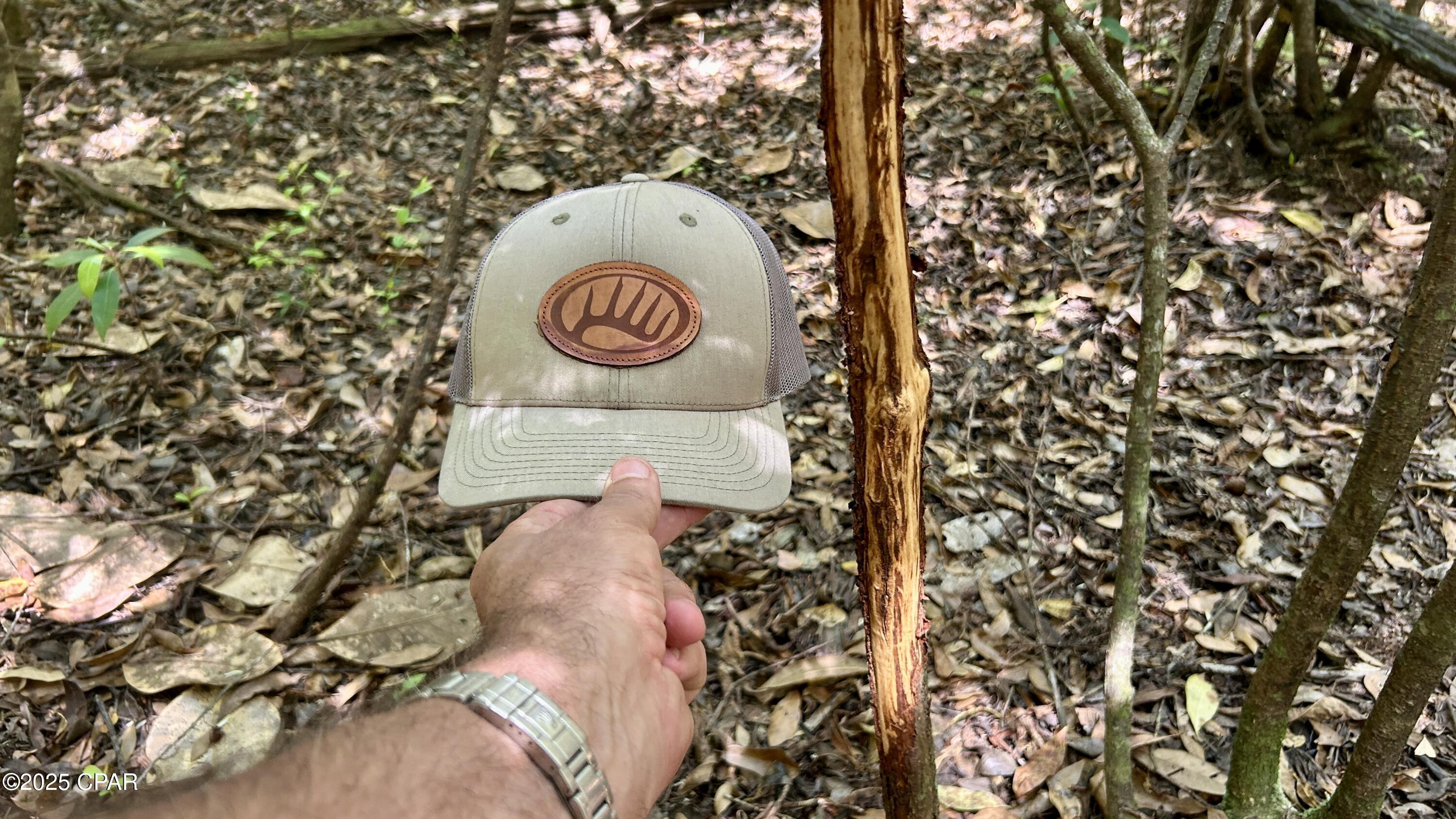 Ir7ahwcclvmzm7amrktw_zof7ipo77kw2i6ywx Bo88