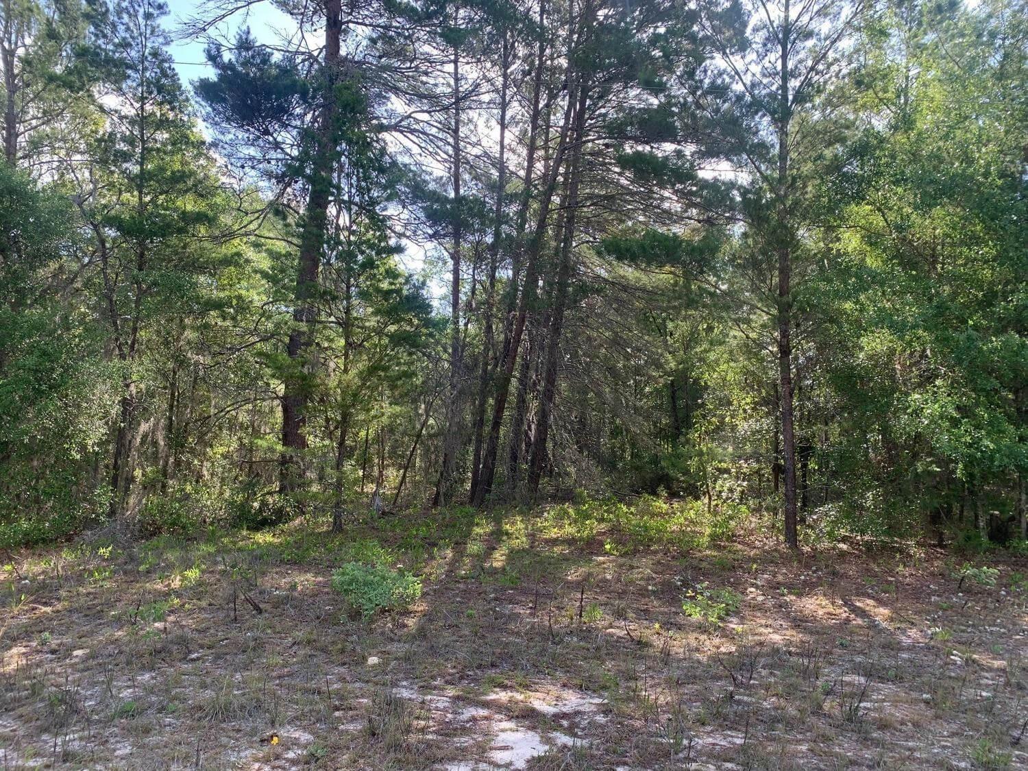 Interlachen Lakes Estates