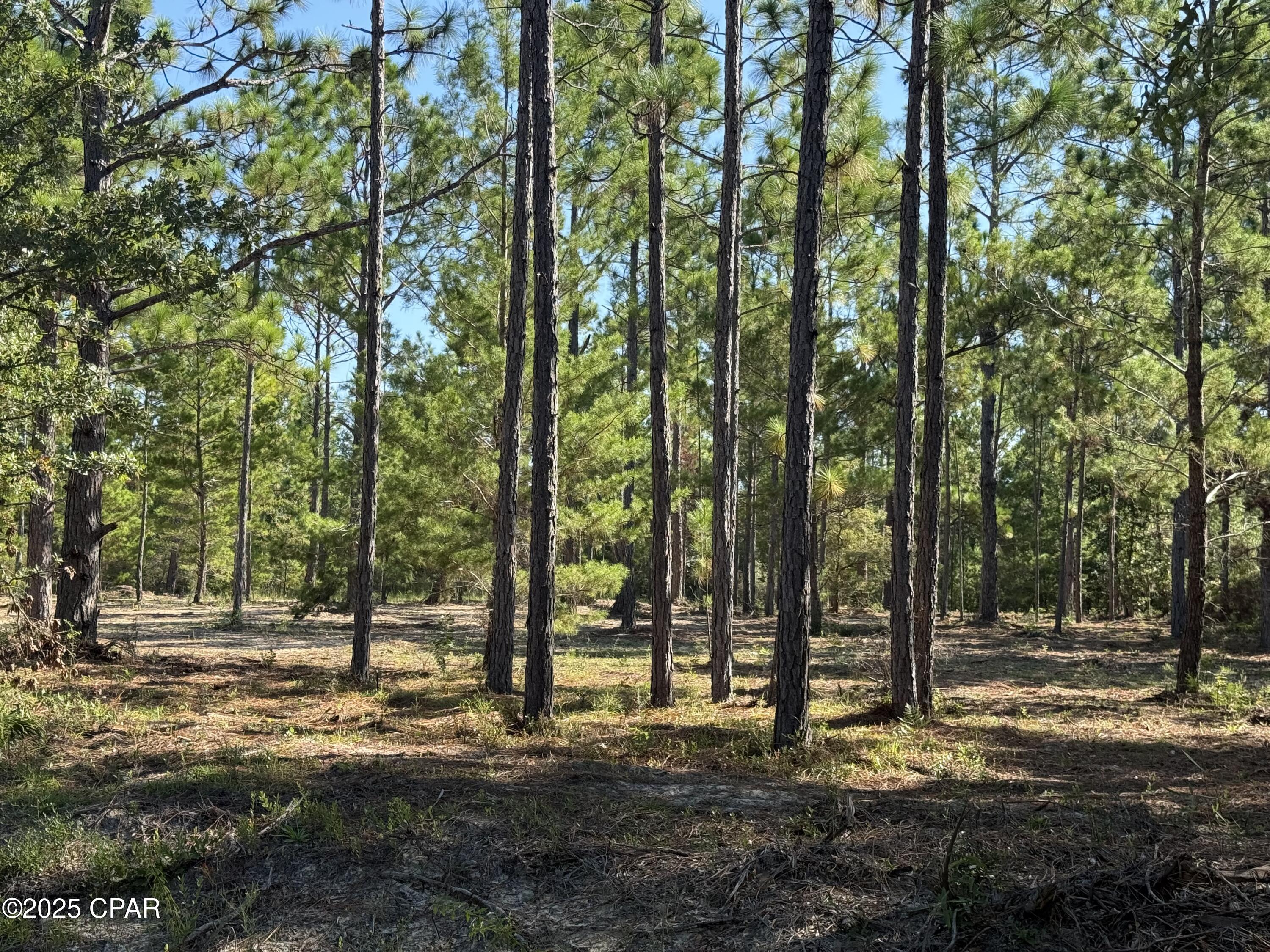 Svuqjmhobdyajo6aahcglvshisoy87_z49by3evxeuk