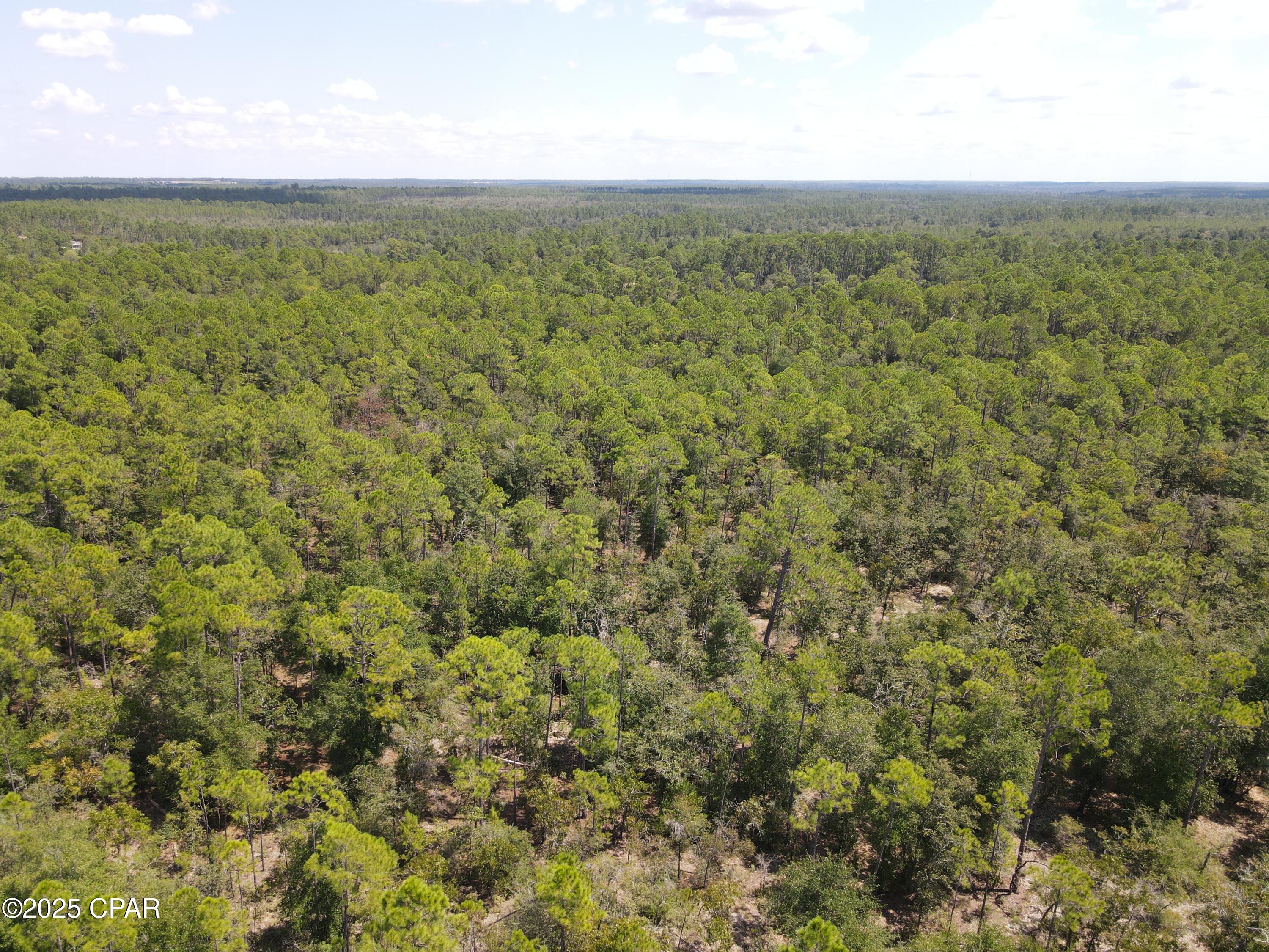 Image 1 For 00 Sally Road