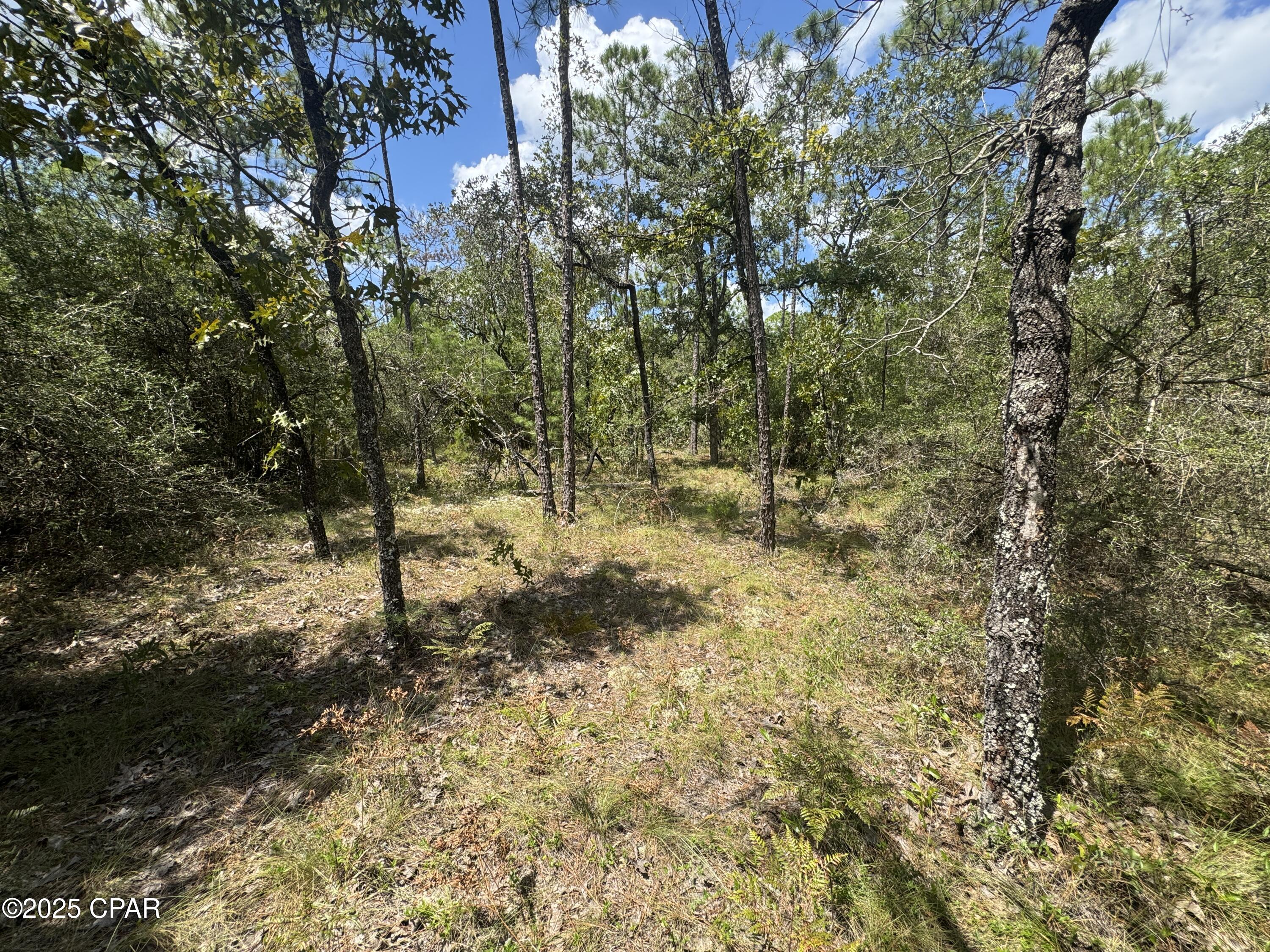 Image 5 For 00 Sally Road