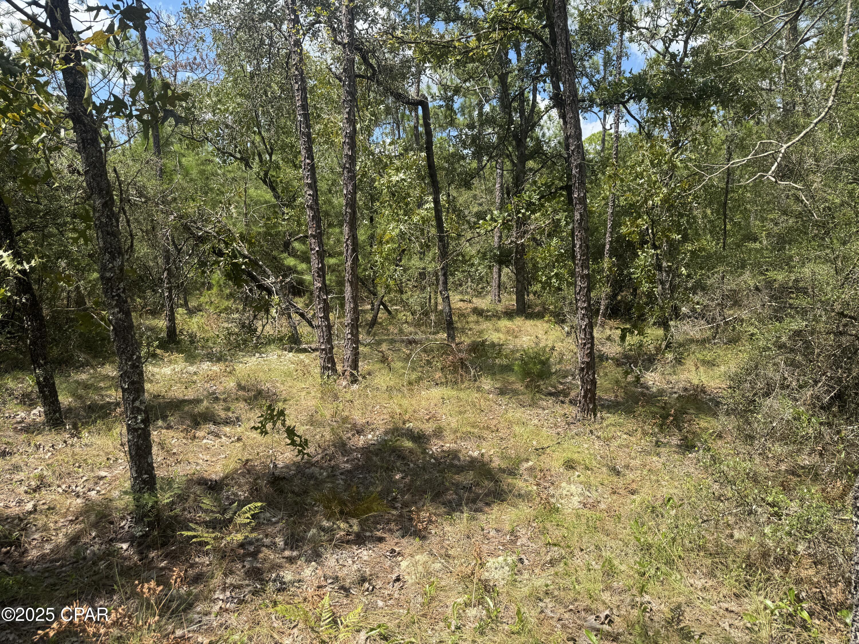 Image 6 For 00 Sally Road