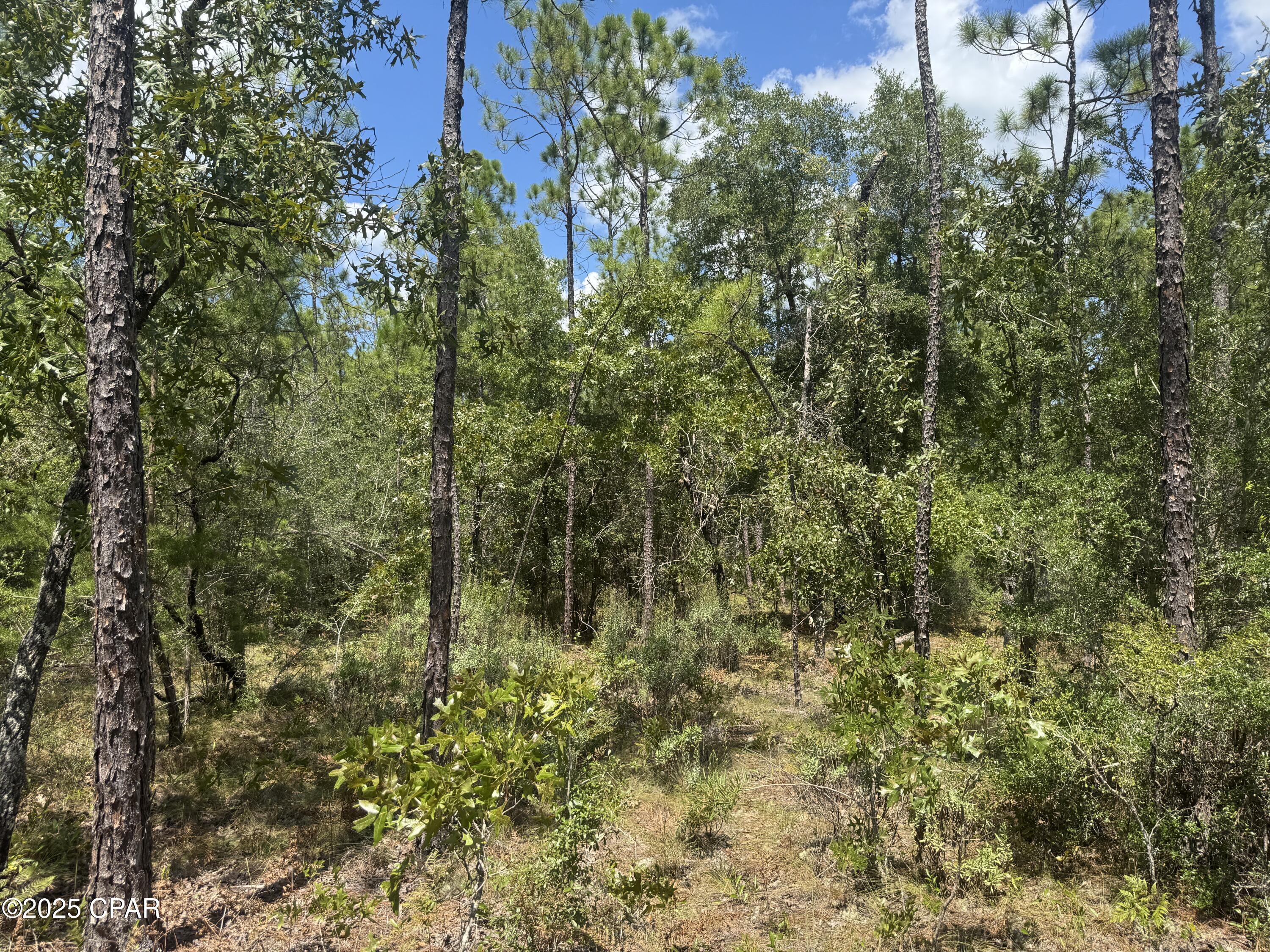 Image 7 For 00 Sally Road