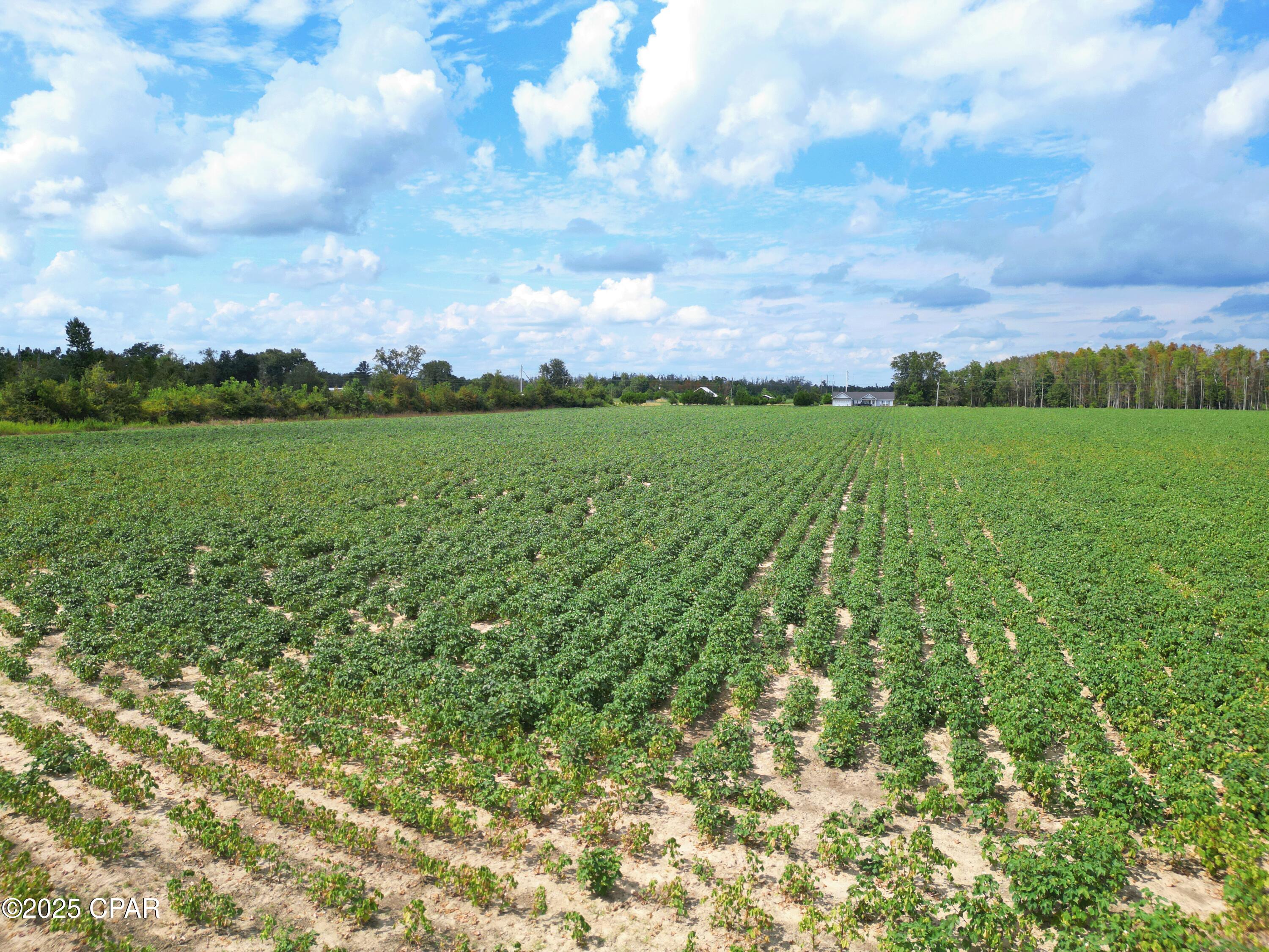 Image 3 For Tbd Ashley Shiver Road