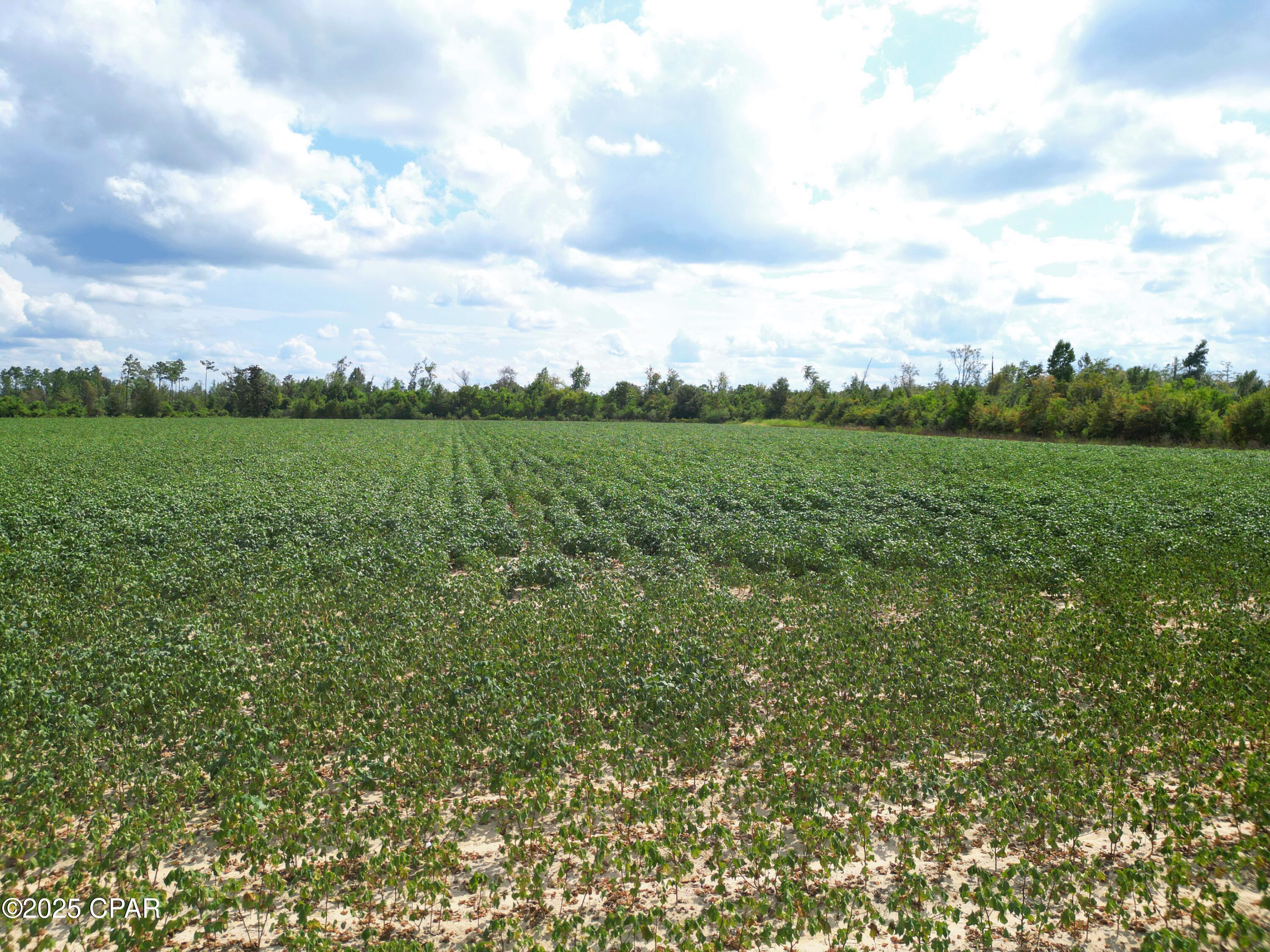 Image 5 For Tbd Ashley Shiver Road