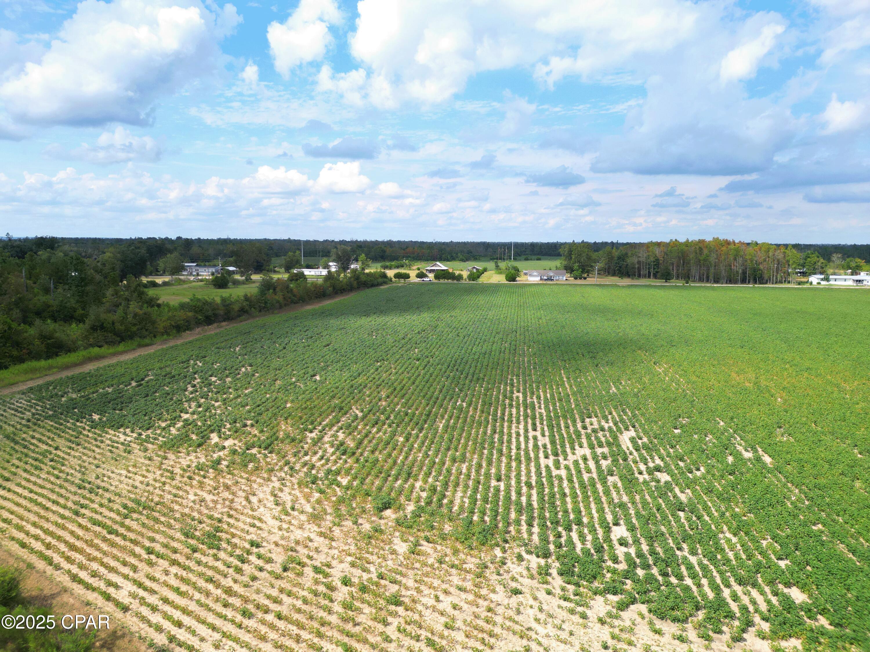 Image 7 For Tbd Ashley Shiver Road