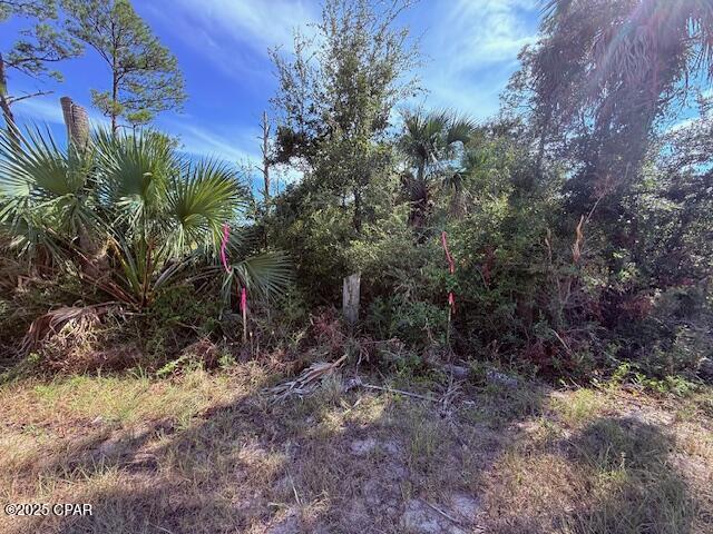 Image 7 For 0 County Rd 30a