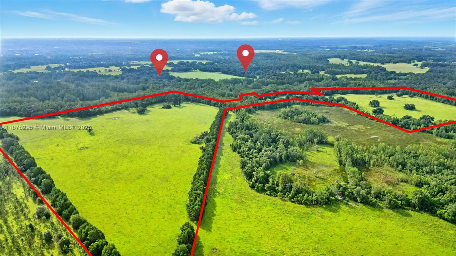   Click for more details  