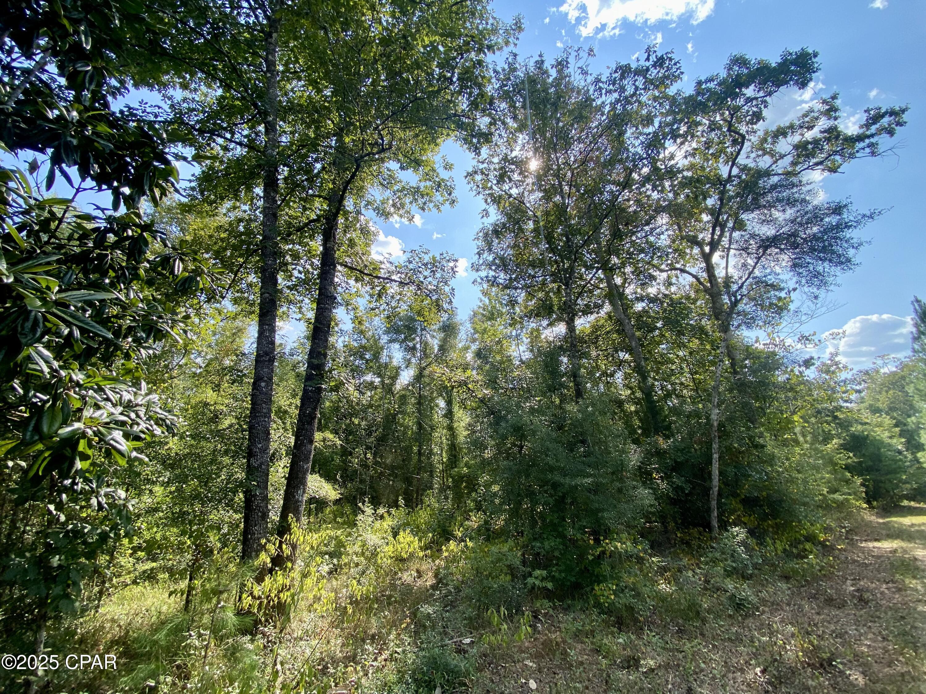 Bvgvgvnmxihaf5zhdriwgchoi7fbt14zm4fqcw5_gpc