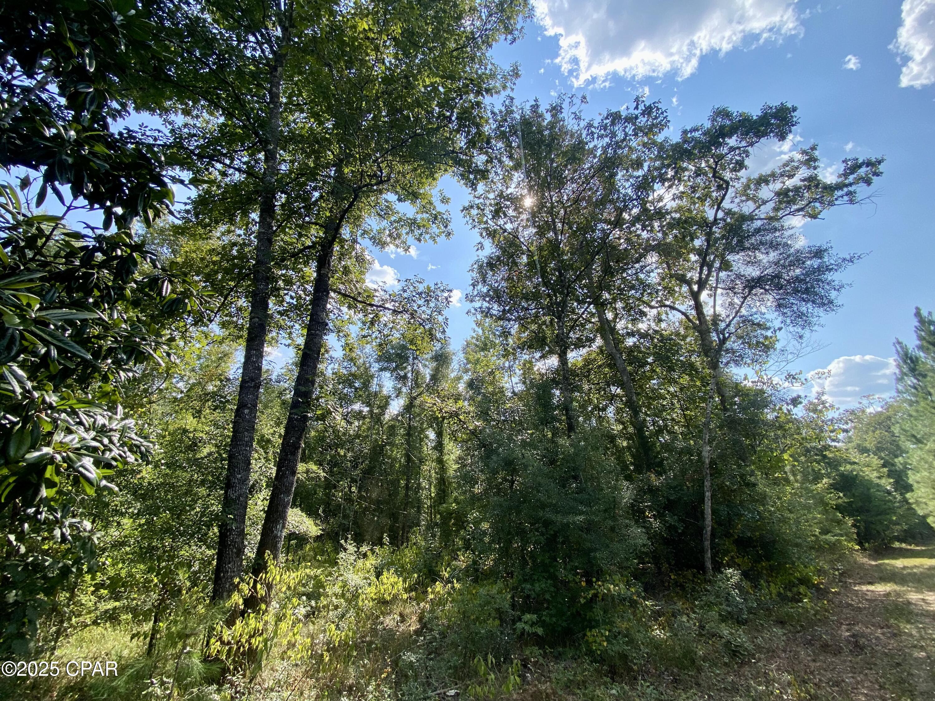 5zfrzmelffb 6kye52frw4phvf4mxdqxwn3k6grd Qe