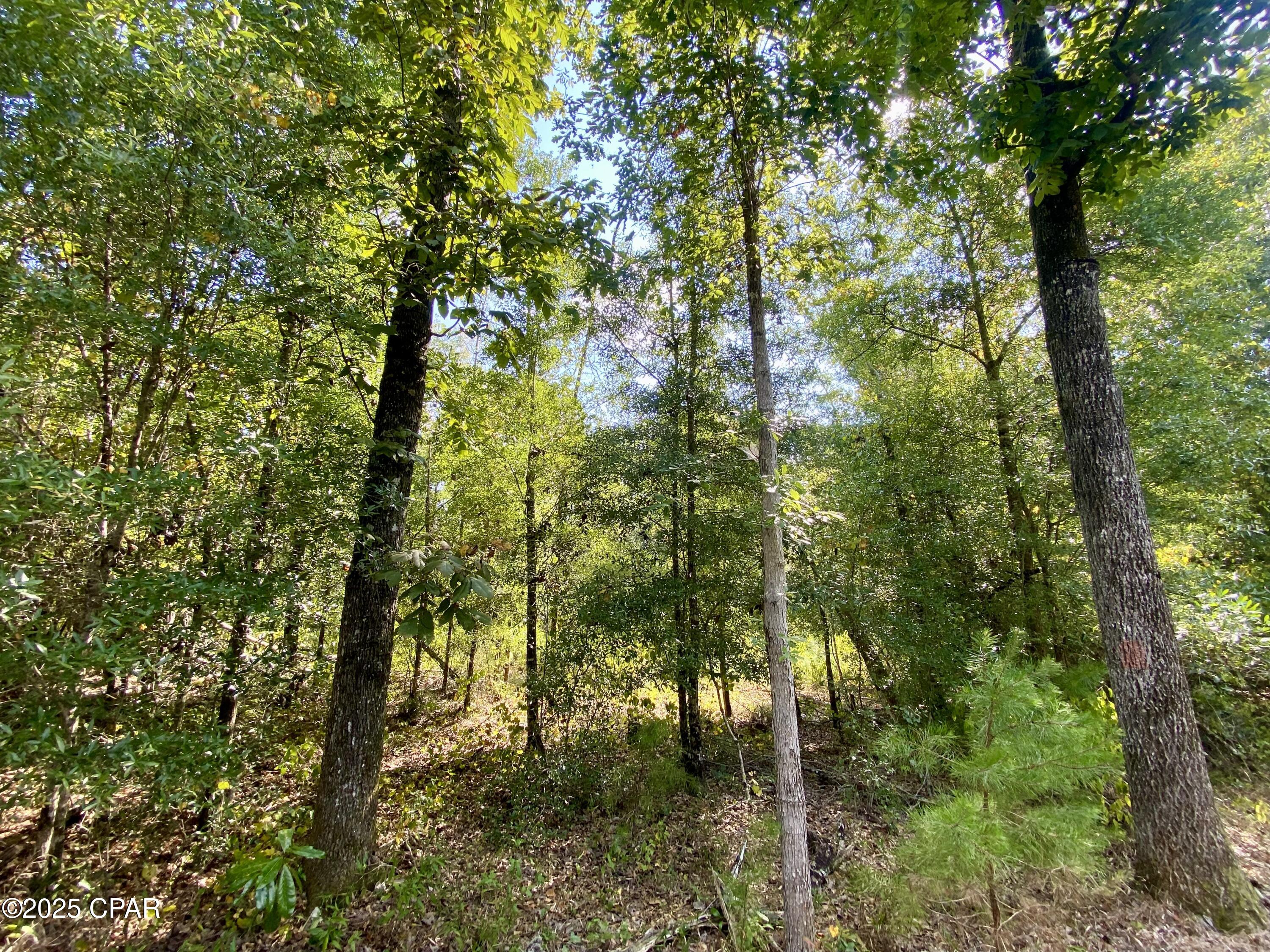 8c151erblcyioxw6staecfxbmk3ainj1yk2oxvgcjki