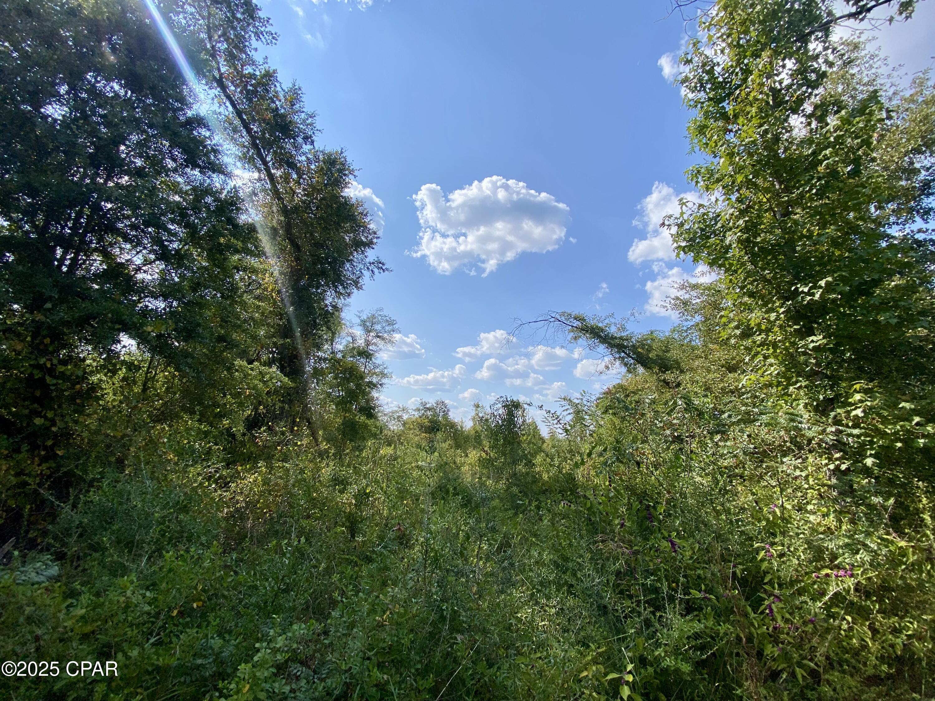 19gzcapqmc0meduhcsfpmo1c4ia Qw_gma3l6t4zype