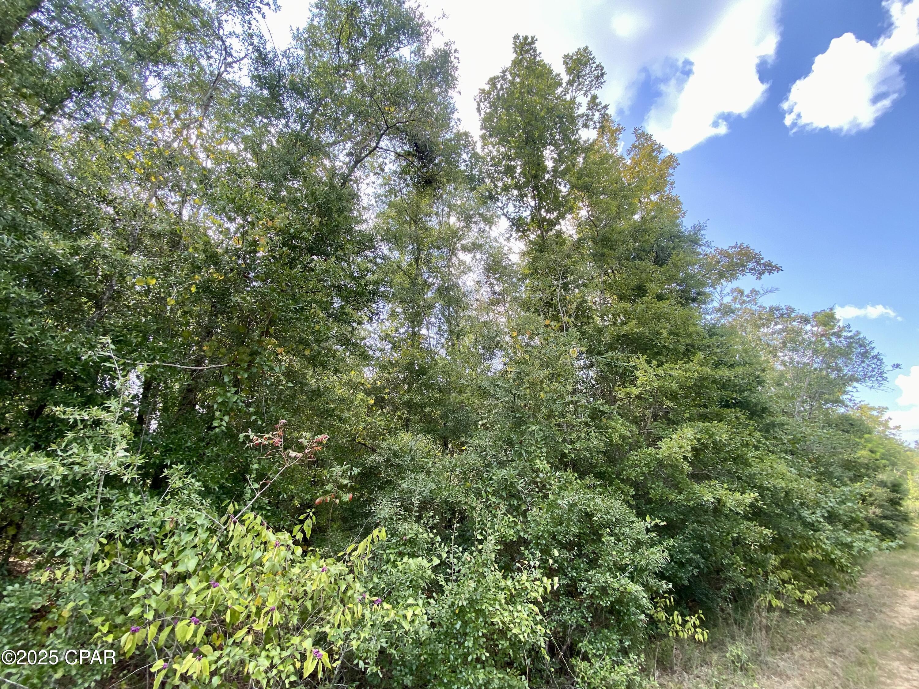 2beygvgyfdmtum_vdvwfcijaqkuateuahbjubomc774