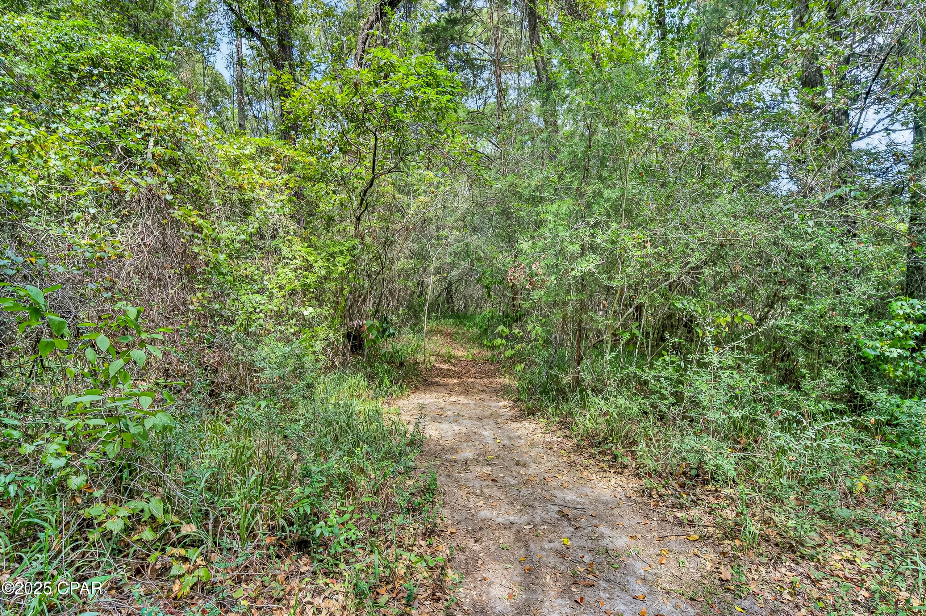 Dcxvfa Afg Gvbw3xxw7aky9tveh4b8j9erqvtpzogw