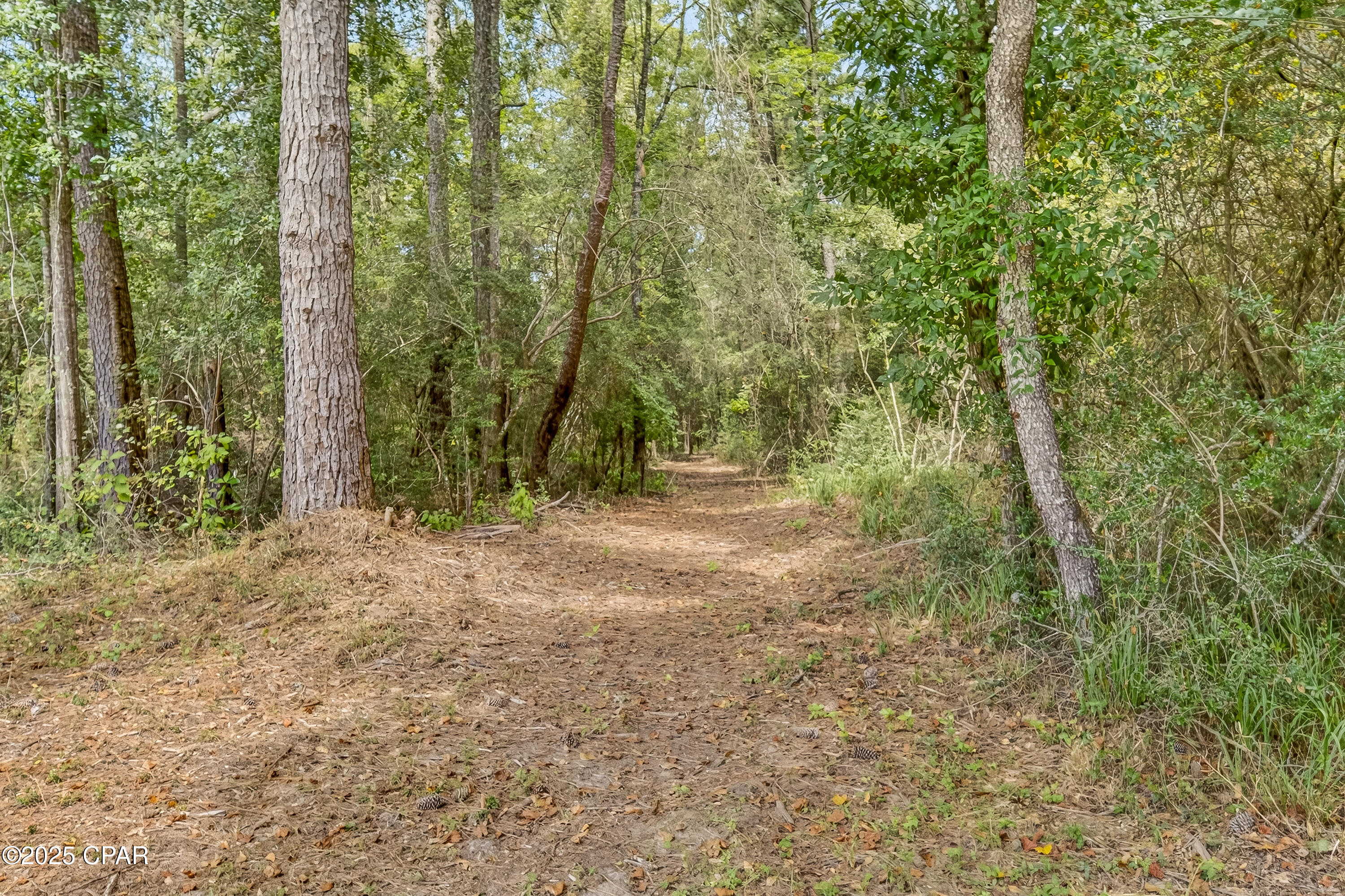 Pcevopku7cgw4zsv87dgye_foaszhefta7mgvcwpiti